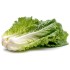 Long Bok Choy / Case