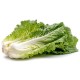 Long Bok Choy / Case