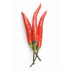 Long Hot Pepper - Case