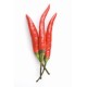 Long Hot Pepper - Case