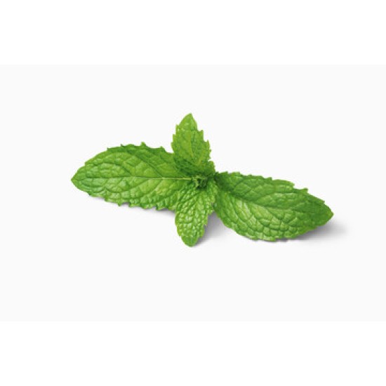 Mint / LB