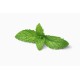 Mint / LB