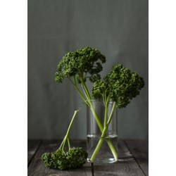 Parsley Curly / Case