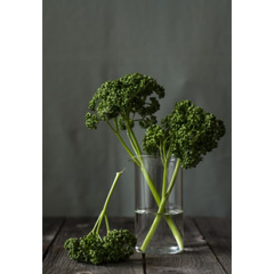Parsley Curly / Case