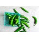 Serrano Pepper / Case