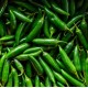 Serrano Pepper / Case