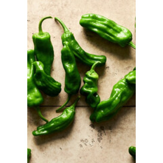 Shishito Pepper /Case