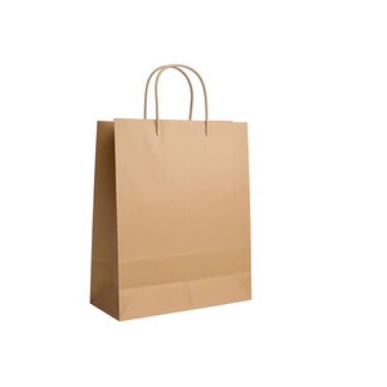 Big Shopping Bag - 250/Pack
