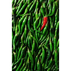 Thai Chili Green / Case
