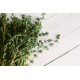 Thyme / Box