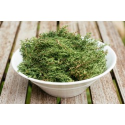 Thyme / Box