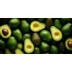 Avocado - 60pcs/Case