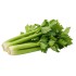 Celery Fresh 24CT/Case