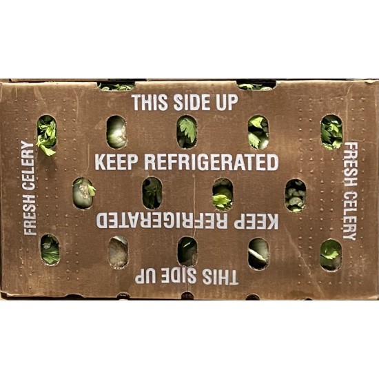 Celery Fresh 24CT/Case