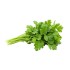 Cilantro / Case 
