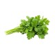 Cilantro / Case 