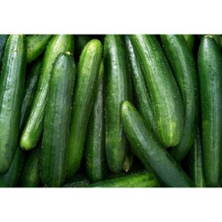 Cucumber / Case