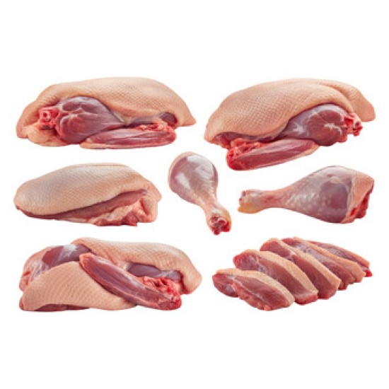 H/L Duck / Each