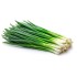 Green Onion - 4 dozens/Case