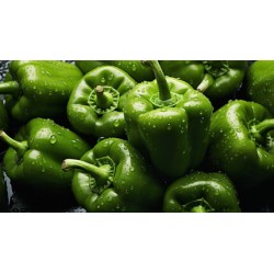 Green Pepper / Case