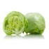 Lettuce / Case