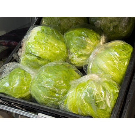 Wrapped Iceberg Lettuce - 24CT/Case