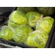 Wrapped Iceberg Lettuce - 24CT/Case