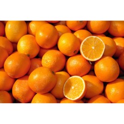 Orange / Case