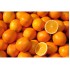 Orange / Case