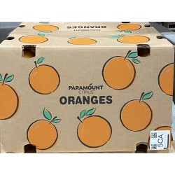 Orange / Case