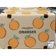 Orange / Case