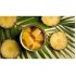 Pineapple Chunks (Nature Pro)-6 Tins/Case