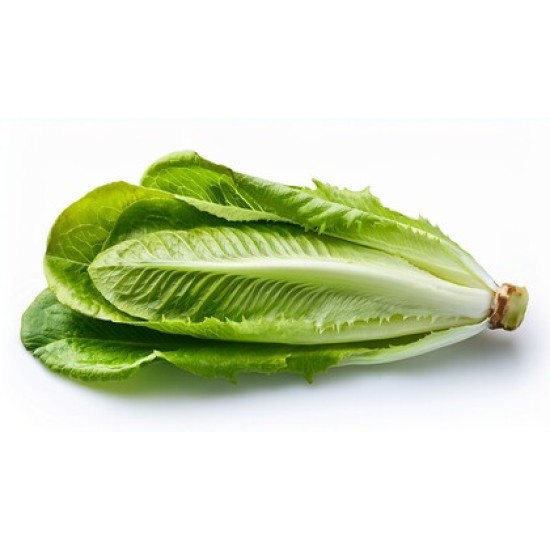 Romaine Lettuce / Case
