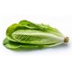 Romaine Lettuce / Case
