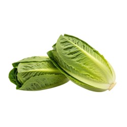 Romaine Lettuce / Case