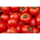Tomato - 25LB/Case