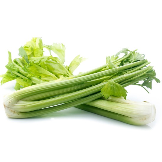 Celery Fresh 24CT/Case