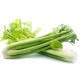 Celery Fresh 24CT/Case