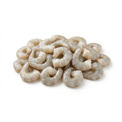 Shrimp White 26/30 RPD T/S/Off-10LB/Case